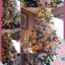 Damaris Cruz's Christmas tree from Lakeland, Florida, USA