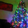 Beca's Christmas tree from UK
