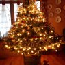 Bernadette's Christmas tree from Chicago, IL, USA