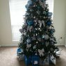 Blue crush's Christmas tree from Jacksonville, Florida, USA