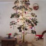 Quiote de agave tequilero hecho árbol de Navidad's Christmas tree from Celaya, Guanajuato, México