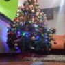Brigi & Tito & Atenea's Christmas tree from Tenerife, España