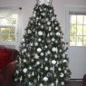 Bony's Christmas tree from Belle Glade, FL, USA