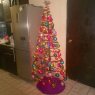 wendy yepiz's Christmas tree from cabo san lucas, mexico