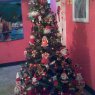 Familia Marquez Oviedo's Christmas tree from Mérida, Venezuela
