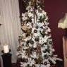 No Mask Events's Christmas tree from Compton, CA, USA