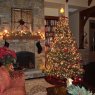 Eddy's Christmas tree from Durango, CO, USA