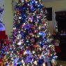 Khoi Nguyen's Christmas tree from VA