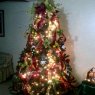 Yuliana's Christmas tree from Lecherias, Venezuela