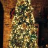 Bailee Fowler's Christmas tree from USA