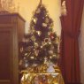 Eunice Cordero Seijo's Christmas tree from Vigo, Pontevedra, España