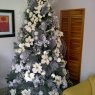 Danny Ramirez's Christmas tree from Caracas, Venezuela