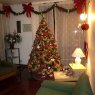 Fredy's Christmas tree from Antofagasta, Chile
