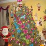 Liliana's Christmas tree from La Paz