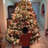 Sujeit Arana's Christmas tree from Jalisco, Mexico