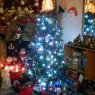 Juan Antonio Labiada's Christmas tree from Corpus Christi, Texas, USA