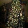 Árbol de Navidad de Jennifer Tesmer (USA)