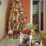 Caroll Villalobos's Christmas tree from Venezuela
