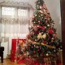 Radu Robescu's Christmas tree from Timisoara, TM, Romania
