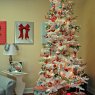 Jennifer Duncan's Christmas tree from Eureka, CA, USA