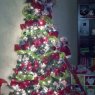 Familia Lopez's Christmas tree from Rockledge, FL, USA