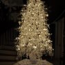Gary E. Mullis's Christmas tree from USA