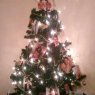 Alana-Jade Needham's Christmas tree from UK