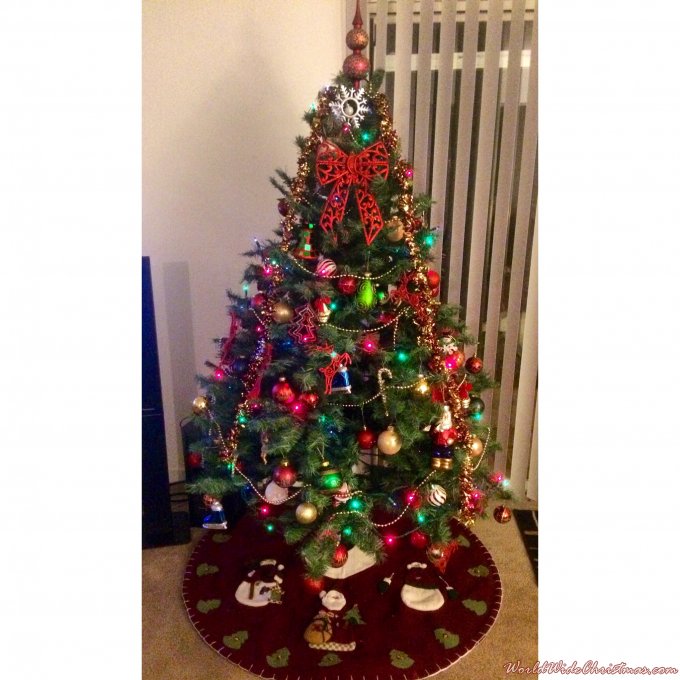 Christmas tree 2014 (Raleigh, NC, USA)