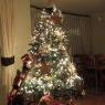 Carmen Paredes's Christmas tree from Santiago, Chile