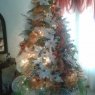 josefina de contreras's Christmas tree from maracaibo, venezuela