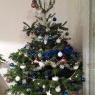 Weihnachtsbaum von godallier (Sainte Marguerite sur mer france)