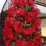 Ramones Family Christmas 2014's Christmas tree from Helotes, Texas, USA