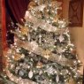 Kristine Pires's Christmas tree from Garden City, NY, USA