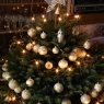 Weihnachtsbaum von Fam. Dorner (Vienna, Austria)