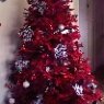 scott schwingdorf's Christmas tree from Kelso, WA, USA