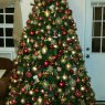 Weihnachtsbaum von Bony (Belle Glade, FL, USA)