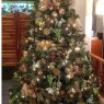 Ana Zornoza Gutierrez's Christmas tree from Veracruz, Mexico