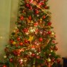Maya Rayssa's Christmas tree from Pamplona, España