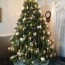 Weihnachtsbaum von Narda Young (Percy, IL, United States)