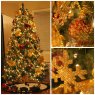 The Golden Tree's Christmas tree from New Jersey, USA