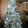 Cristal Nevado Arbol de Navidad's Christmas tree from Caracas, Venezuela