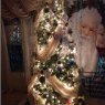 Kawa's Christmas tree from Killeen, Tx, USA