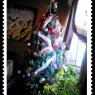 Raquel Gaxiola Sanchez's Christmas tree from Hermosillo, Sonora, México