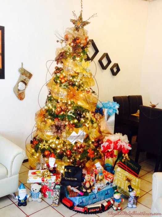 JANOFO Christmas Tree! (Queretaro México )