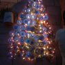 carrizo noemi's Christmas tree from argentina