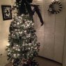Macie 's Christmas tree from USA