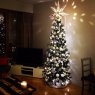 Thomas Guiol's Christmas tree from Paris, France