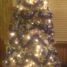 The Poling Family's Christmas tree from Akron, OH, USA