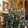 Andreas Pfau's Christmas tree from Friedrichshafen , Deutschland