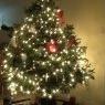 Alain's Christmas tree from Brooklyn, NY, USA